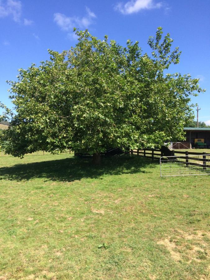 Hunua Ranges Bed & Breakfast エクステリア 写真